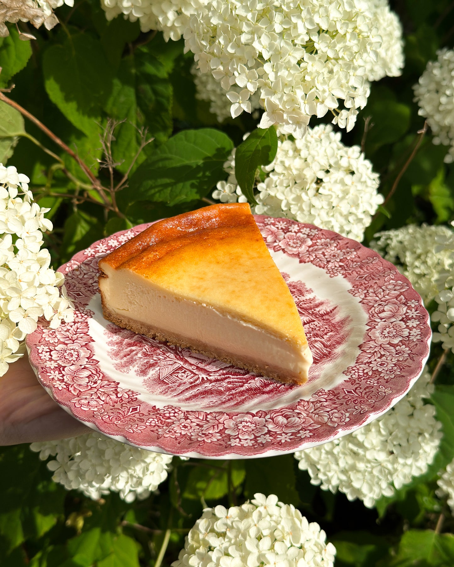 Bath Soft Cheese Cheesecake