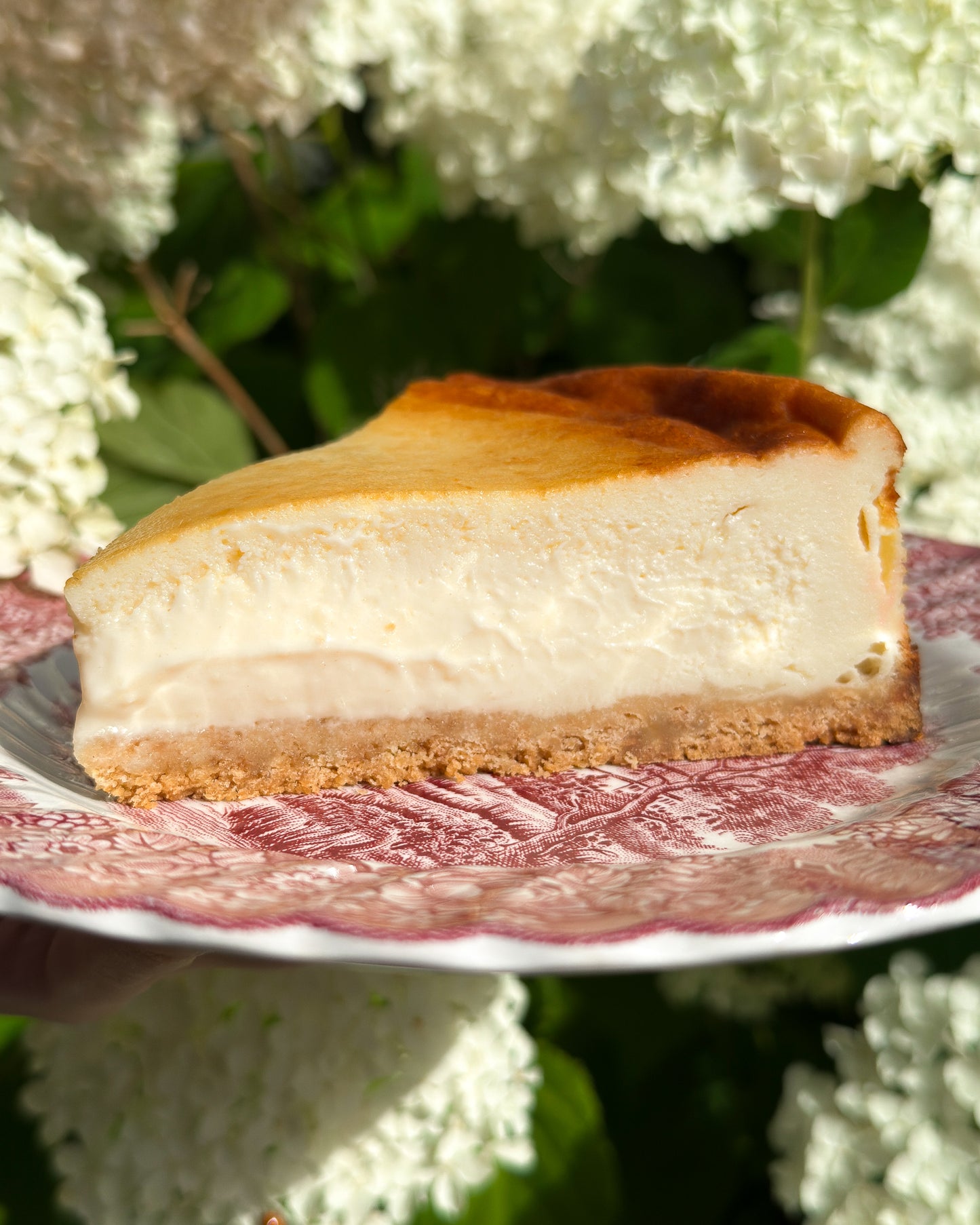 Bath Soft Cheese Cheesecake