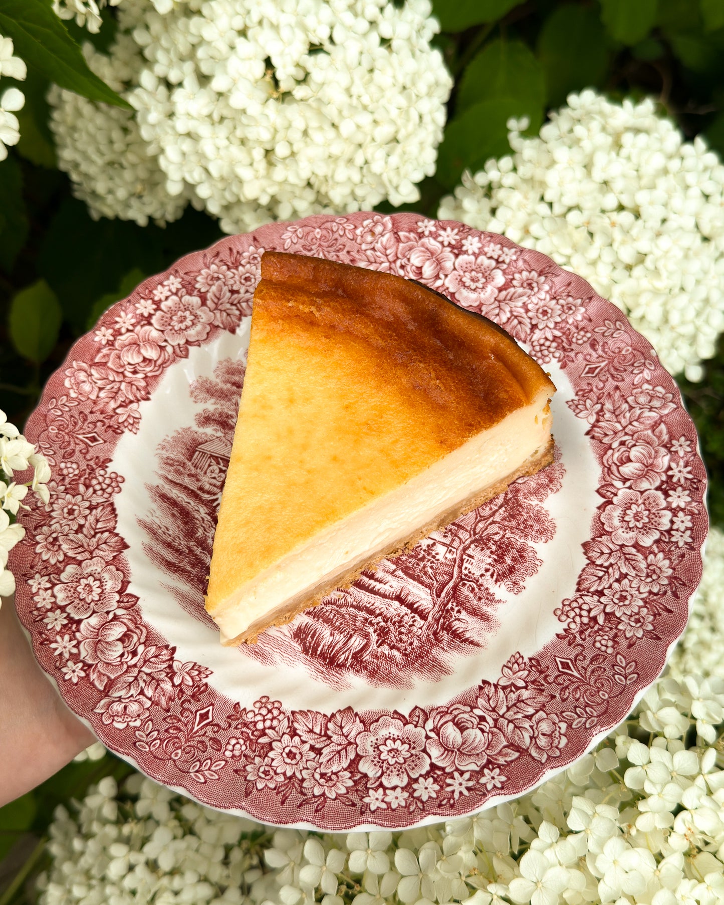 Bath Soft Cheese Cheesecake
