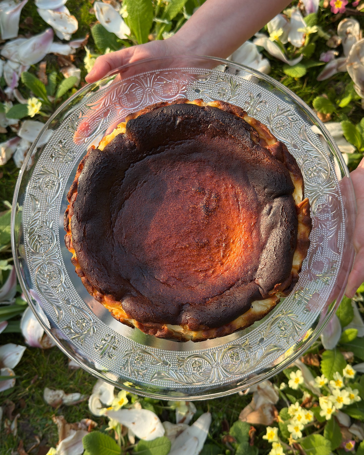 Burnt Basque Cheesecake