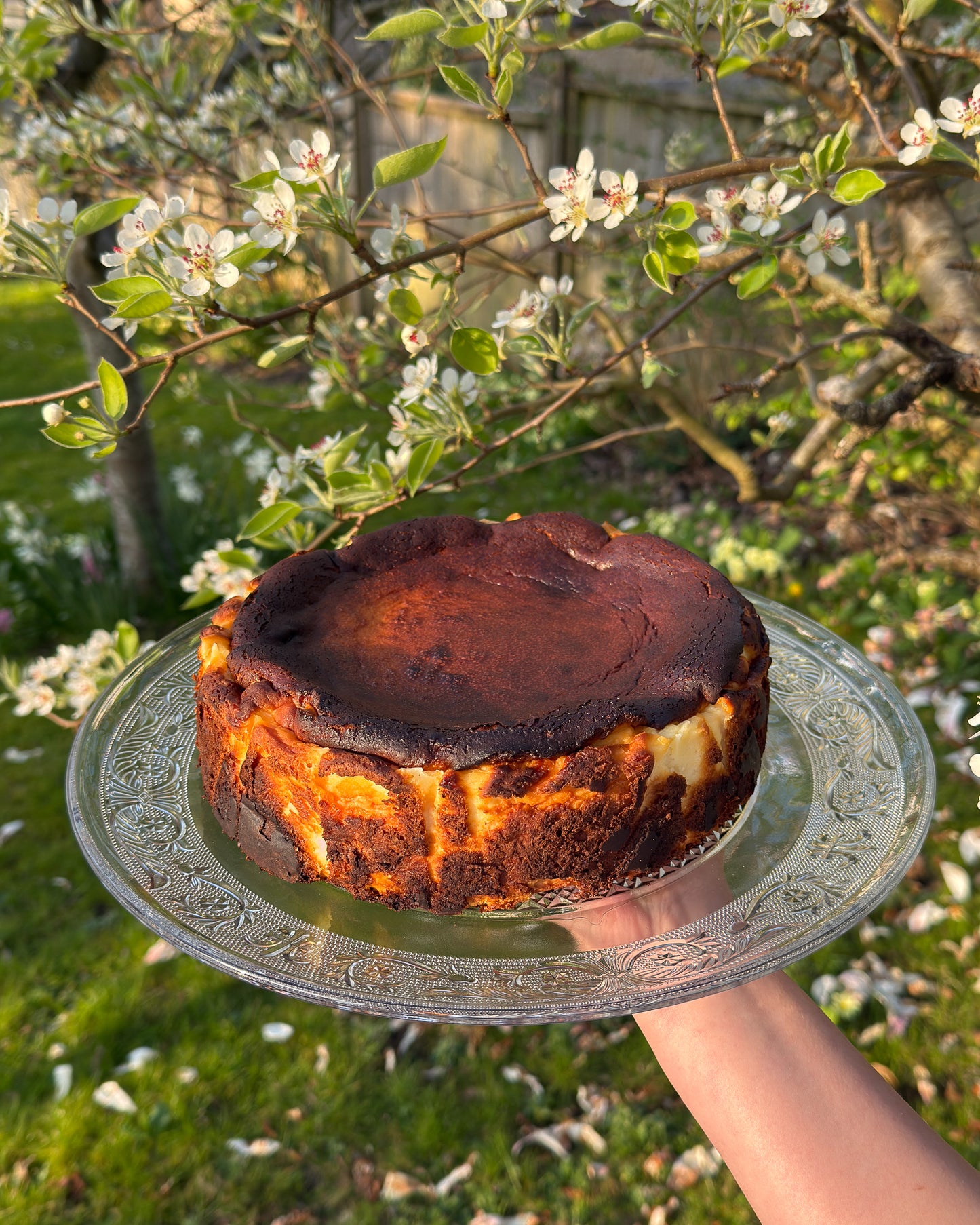 Burnt Basque Cheesecake