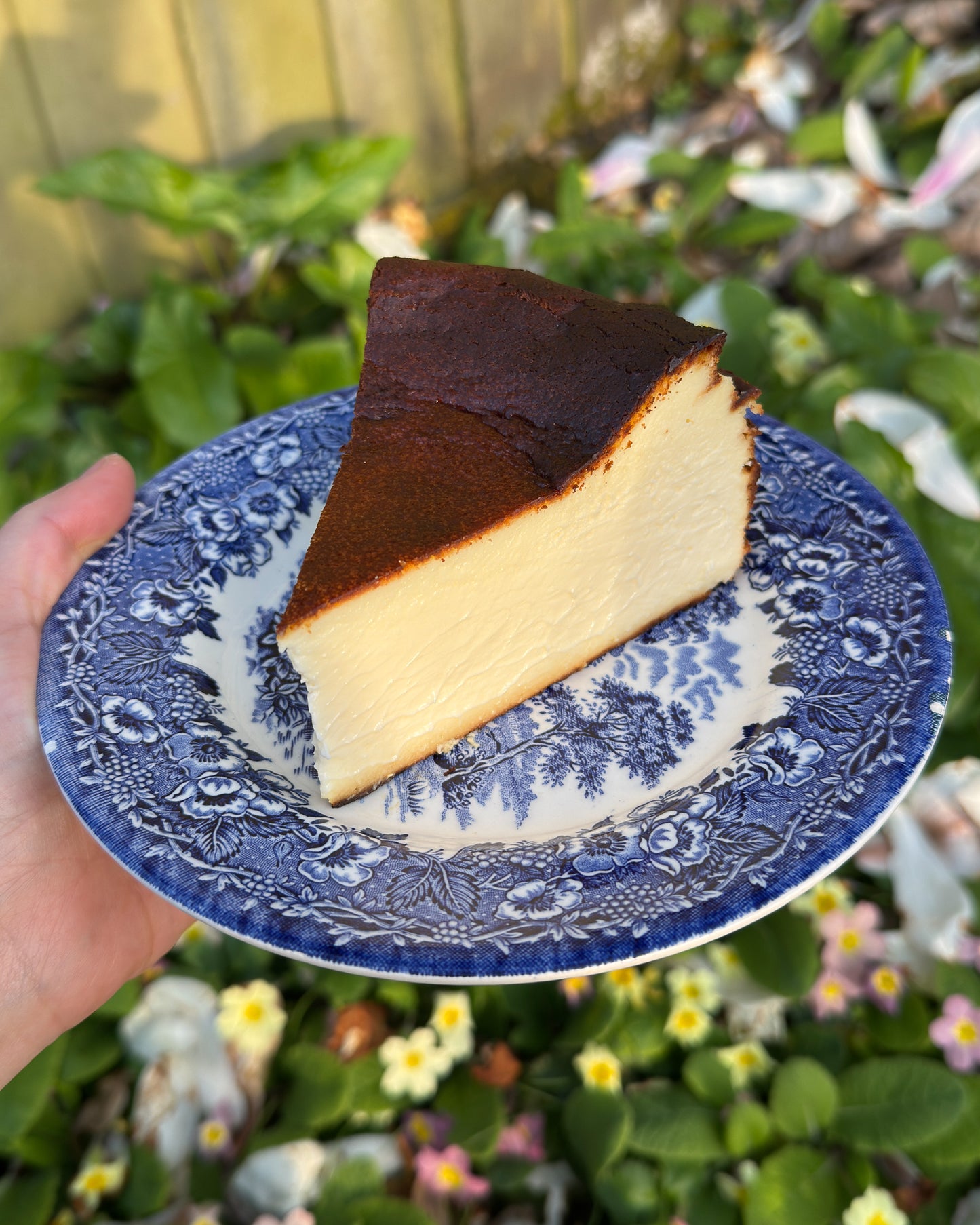 Burnt Basque Cheesecake