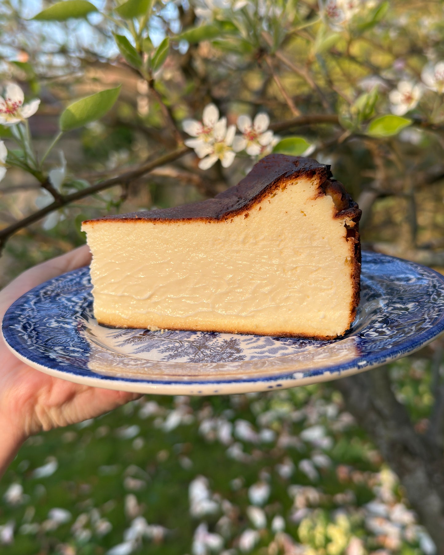 Burnt Basque Cheesecake