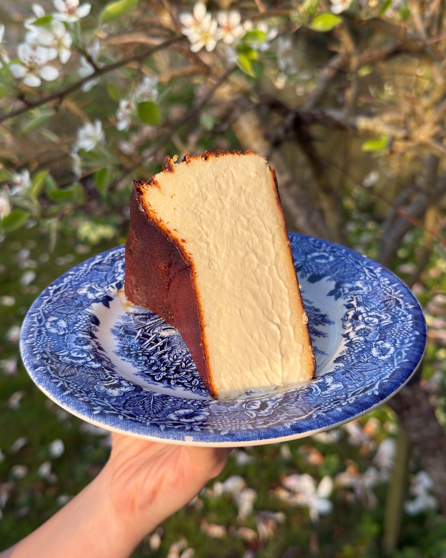 Burnt Basque Cheesecake