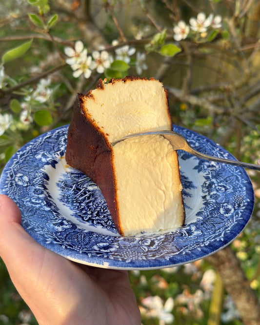 Burnt Basque Cheesecake