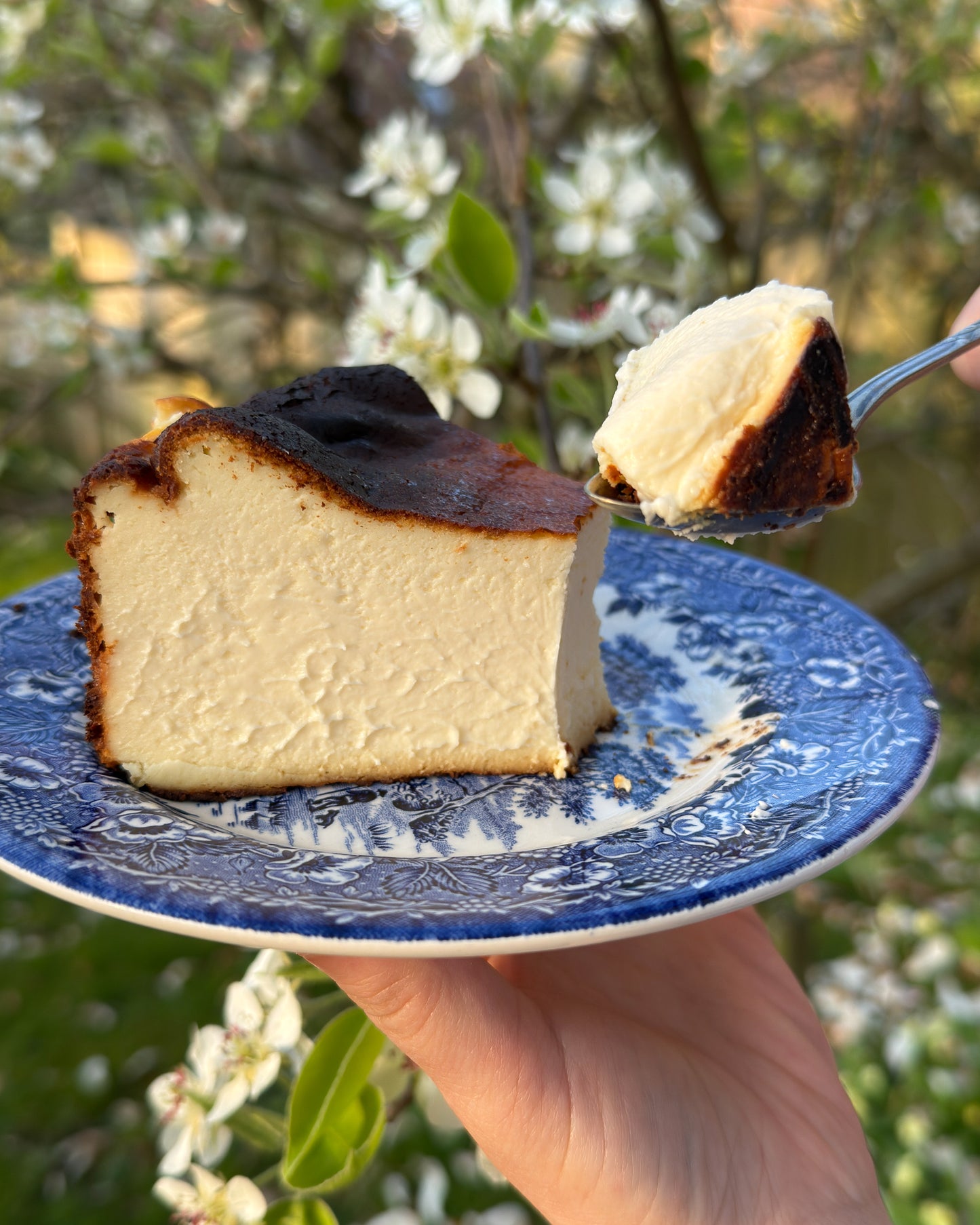 Burnt Basque Cheesecake