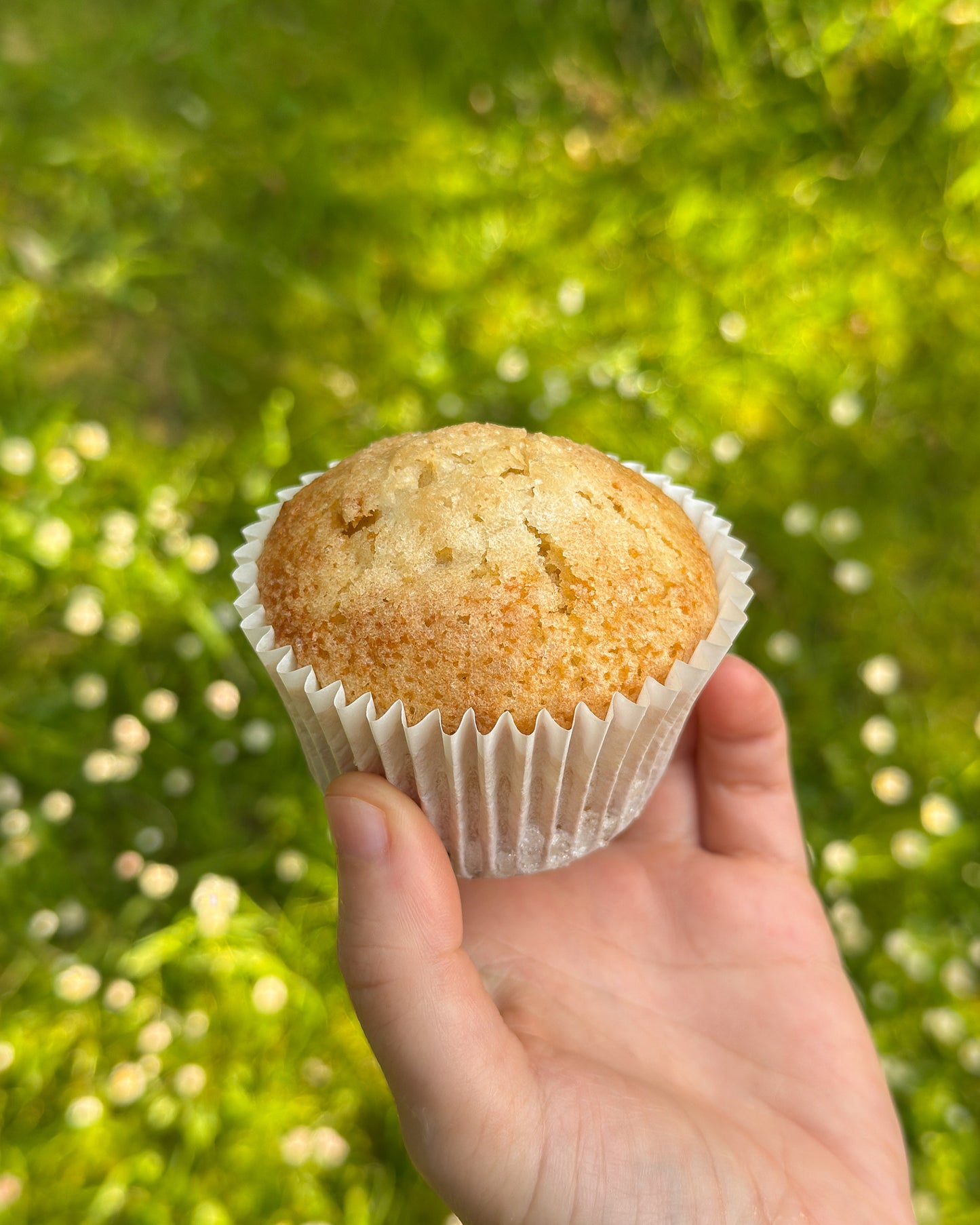Extra Virgin Olive Oil Muffins