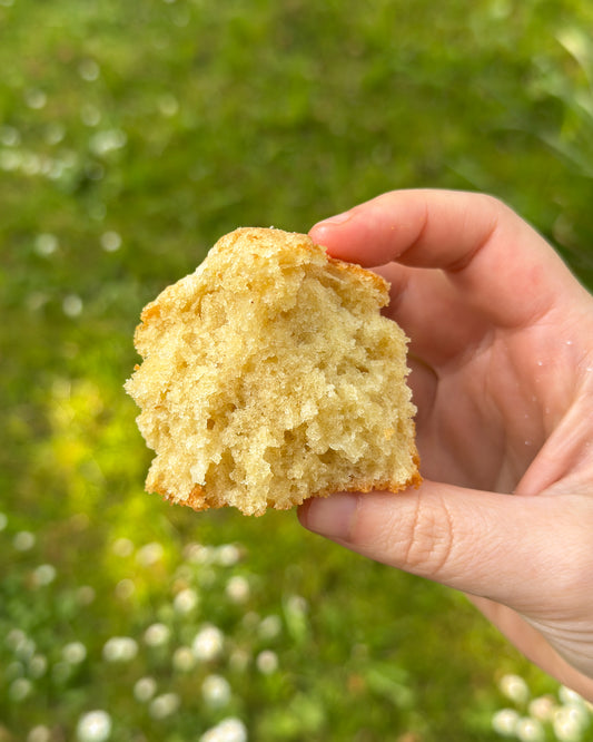 Extra Virgin Olive Oil Muffins