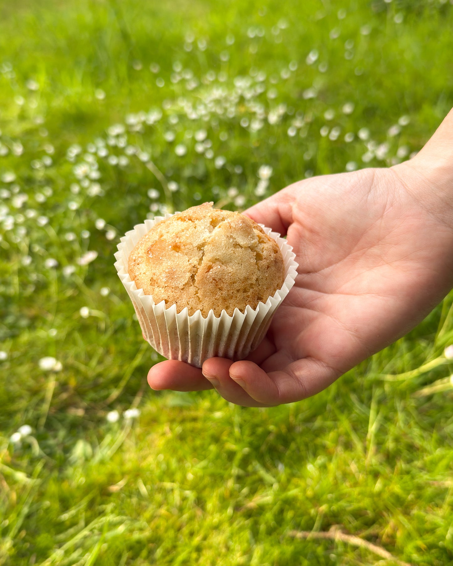 Extra Virgin Olive Oil Muffins