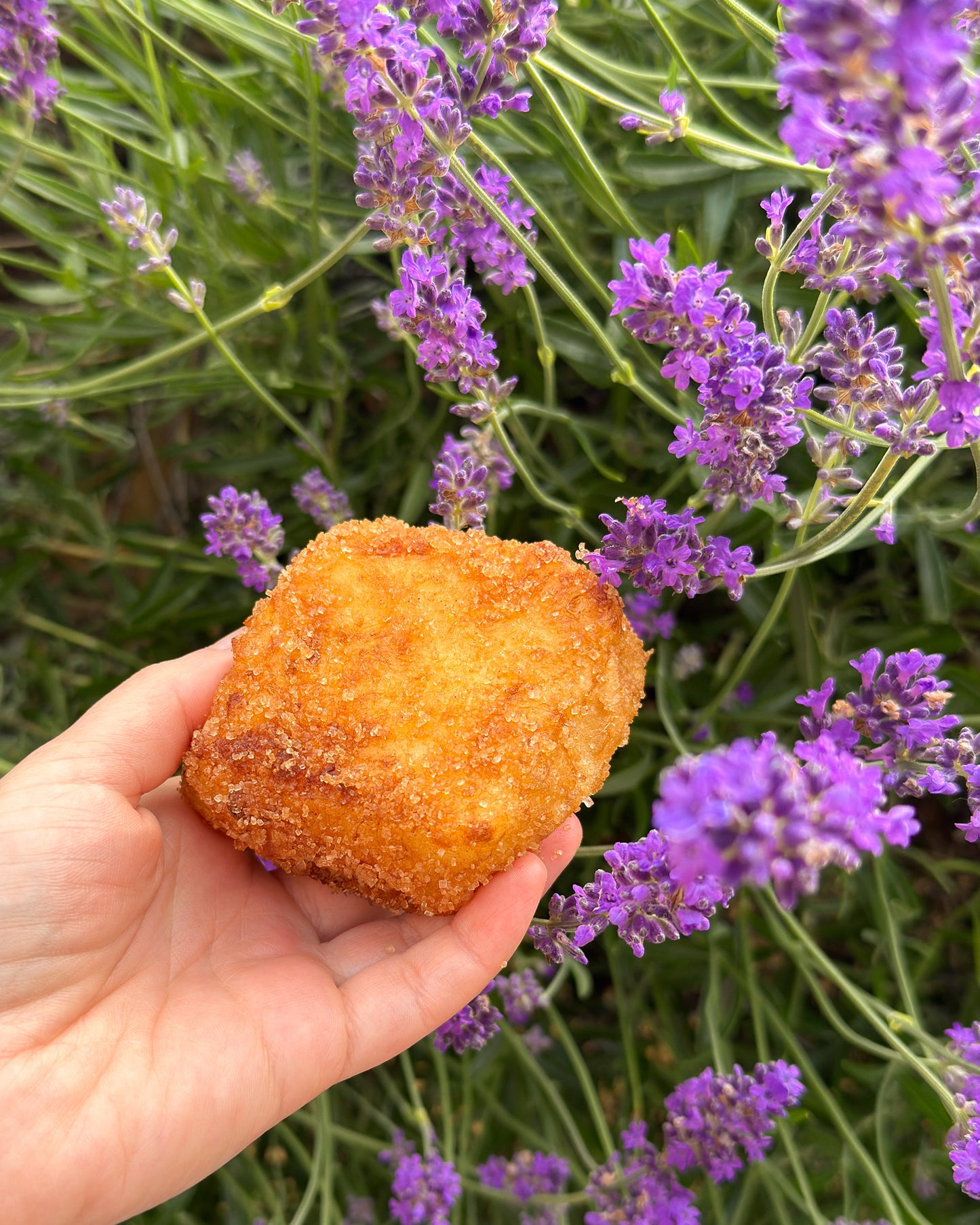 Fried Milk