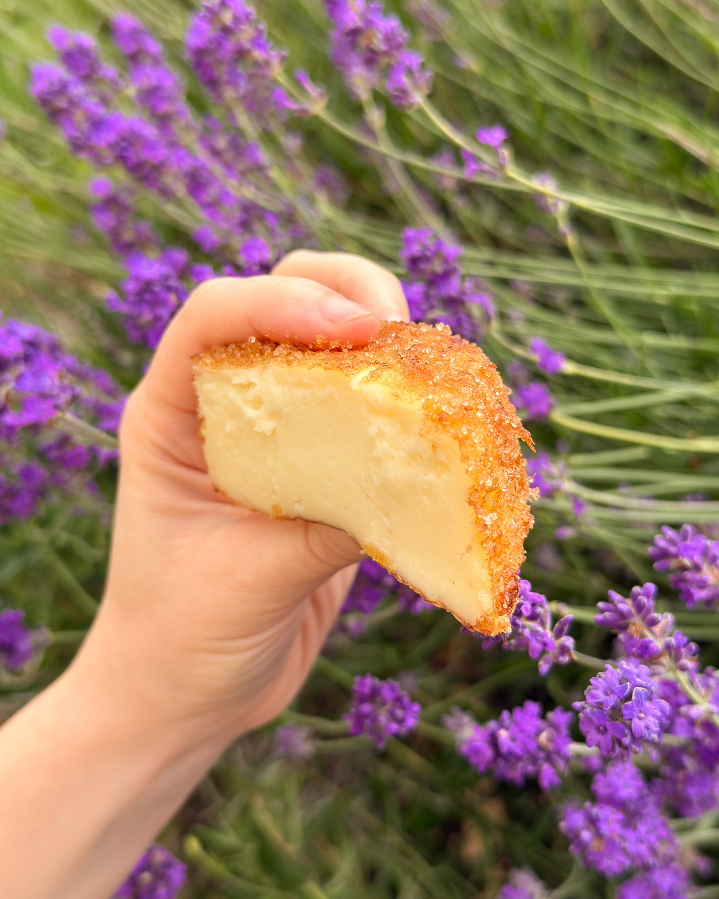 Fried Milk