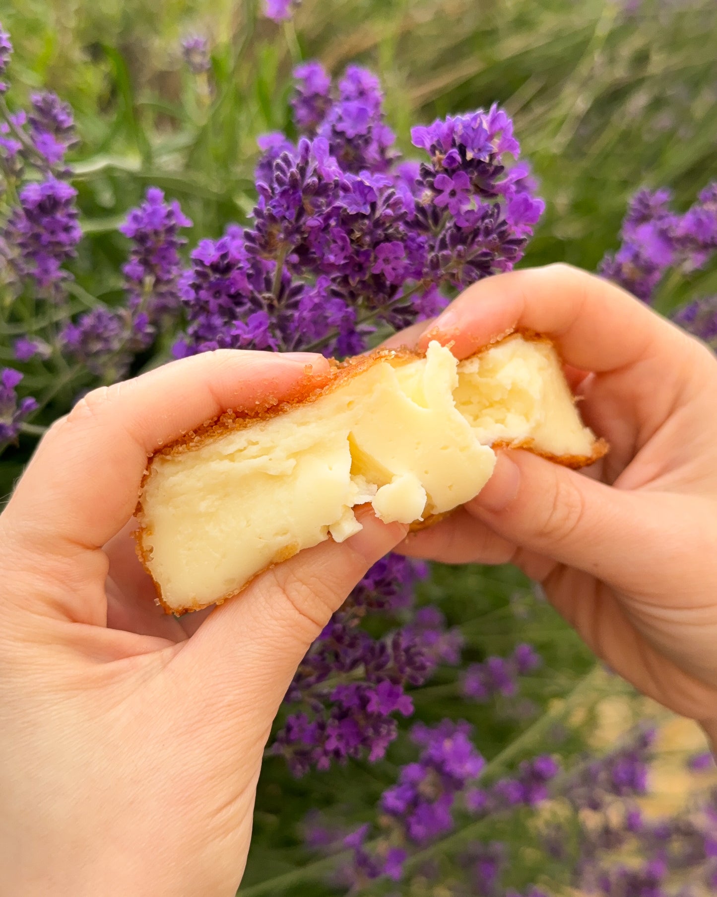Fried Milk