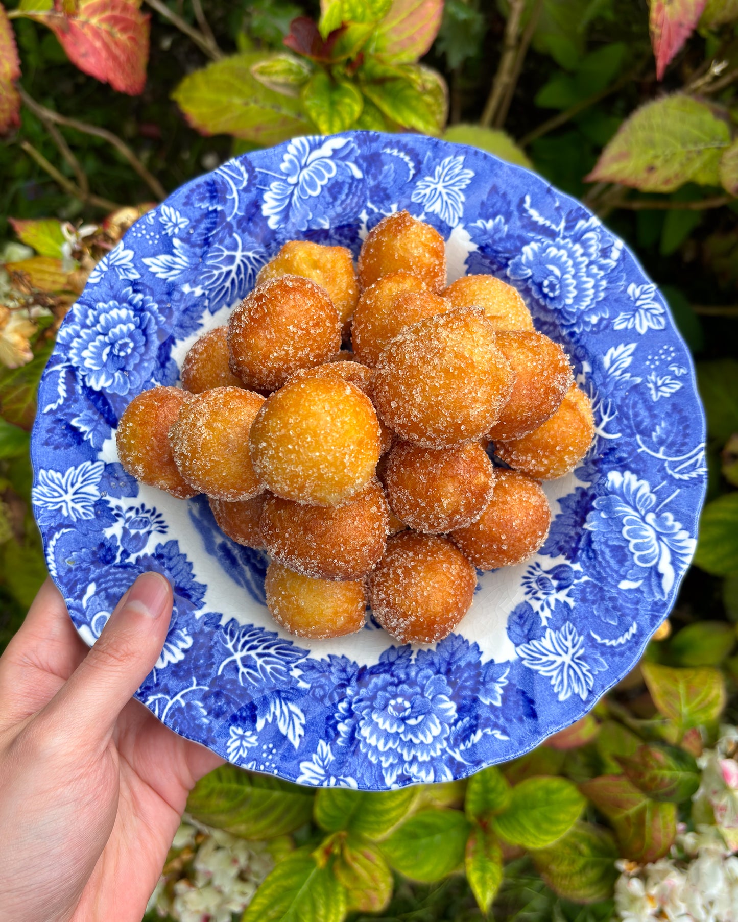 Wind Fritters