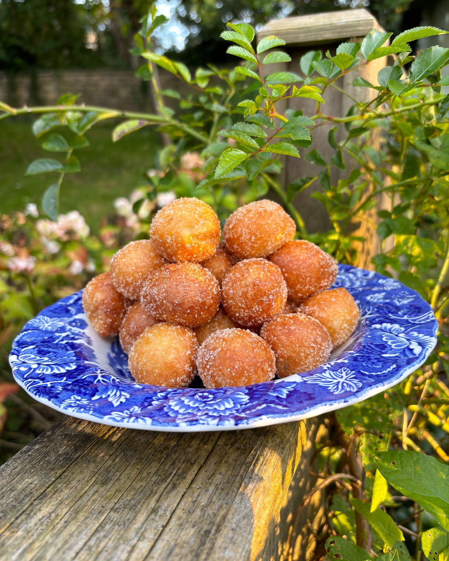 Wind Fritters