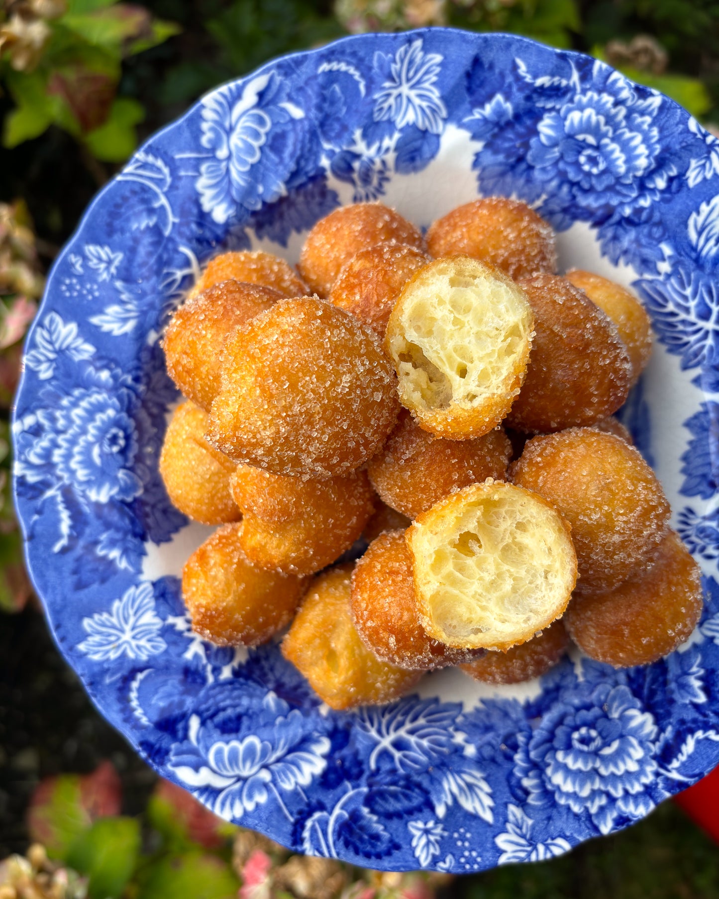Wind Fritters