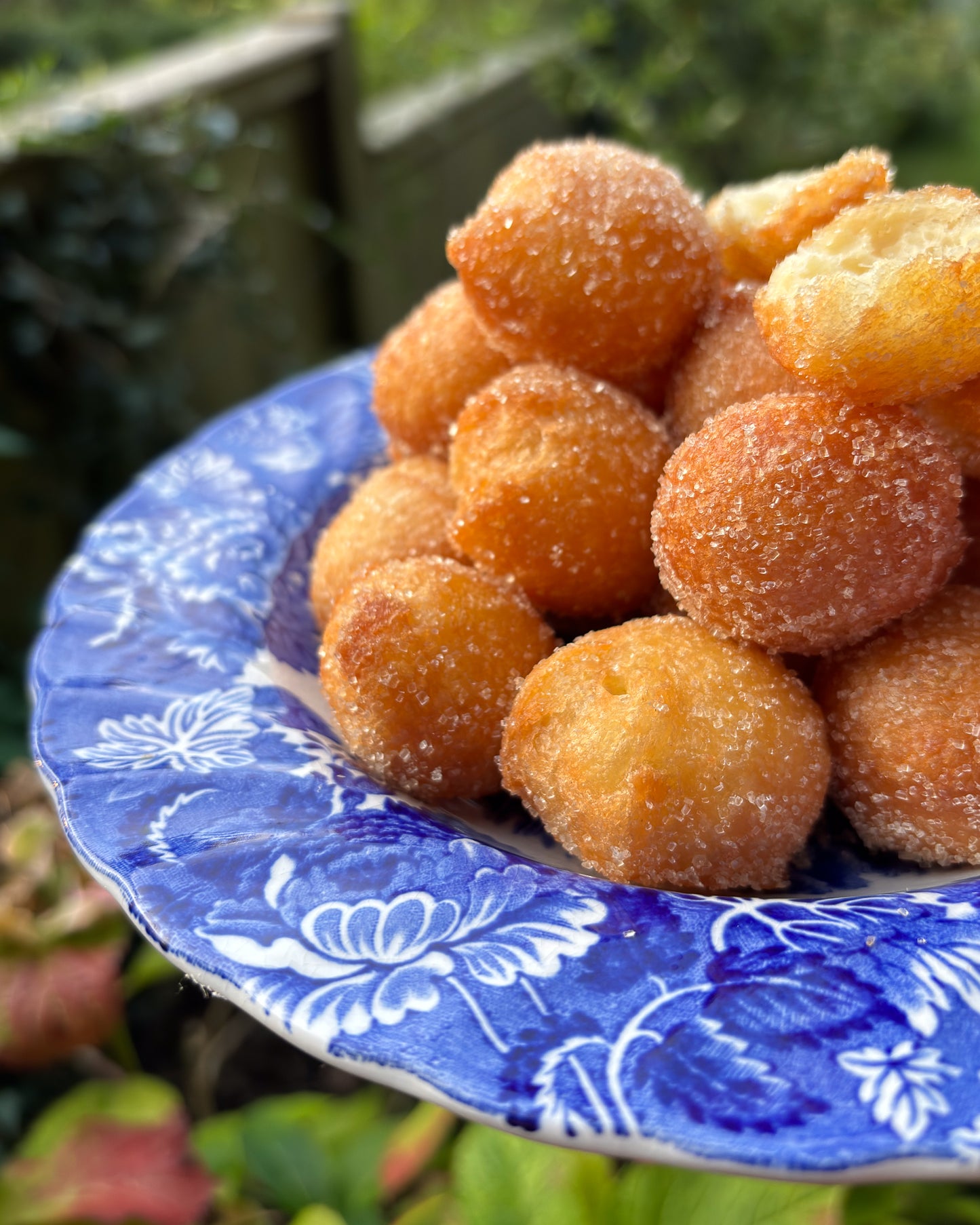 Wind Fritters