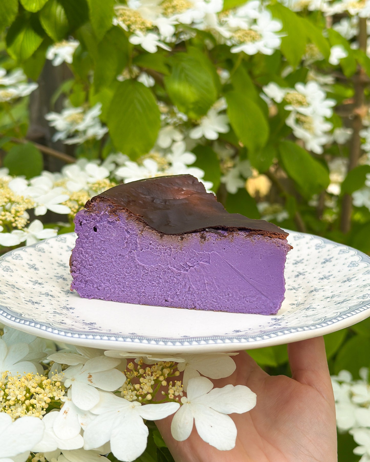 Burnt Basque Cheesecake