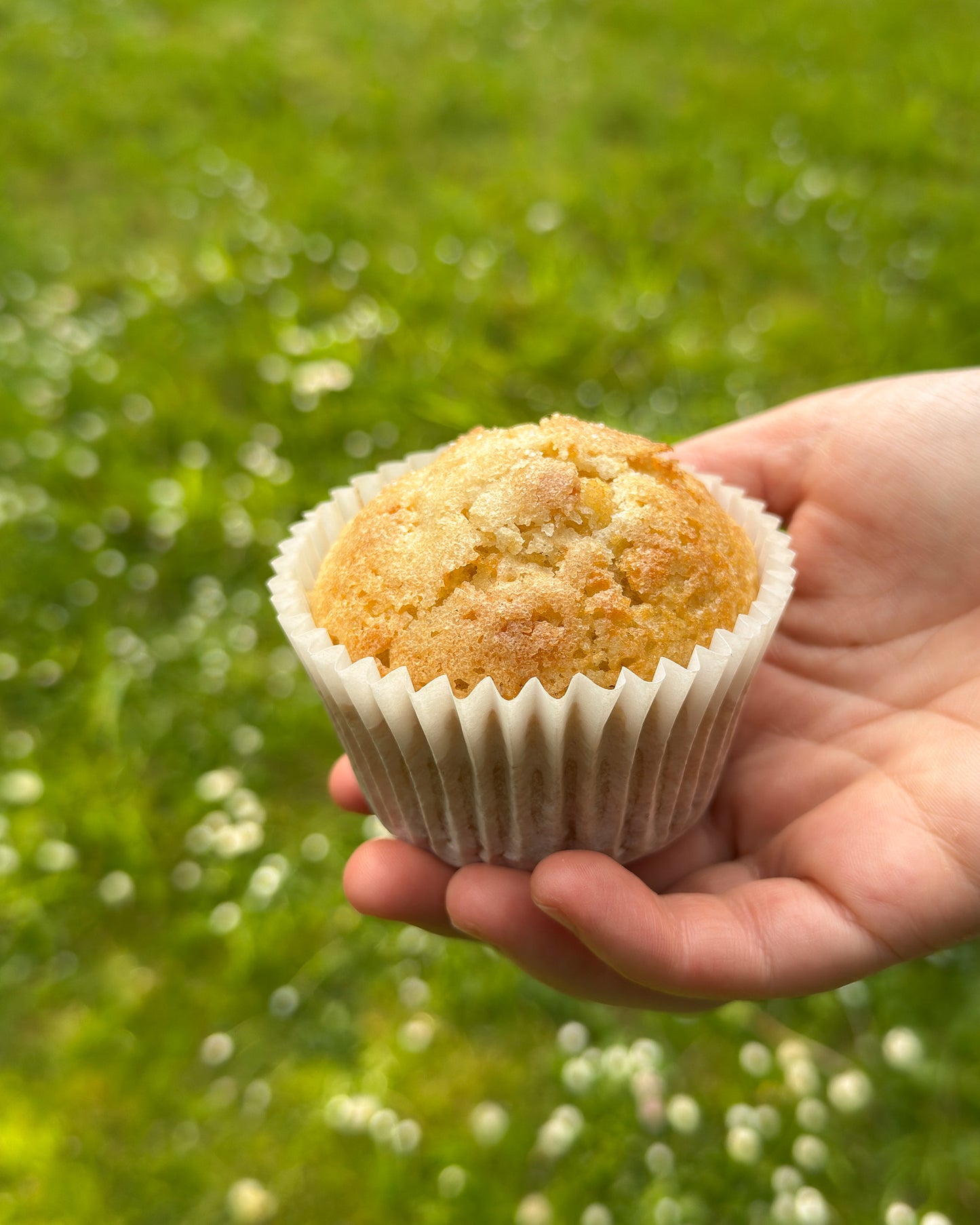 Extra Virgin Olive Oil Muffins